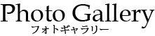 フォトギャラリー